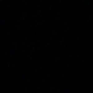 Meet your Posher, Fiona